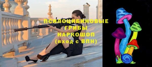 молекула духа Кадников