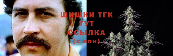 молекула духа Кадников