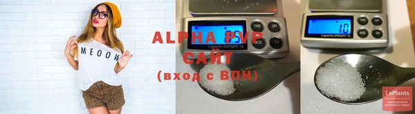 молекула духа Кадников