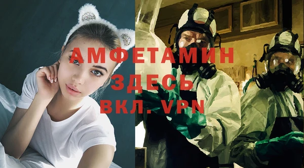 молекула духа Кадников