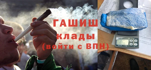 молекула духа Кадников