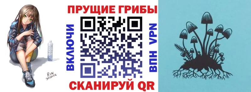 Галлюциногенные грибы Cubensis  Козьмодемьянск 